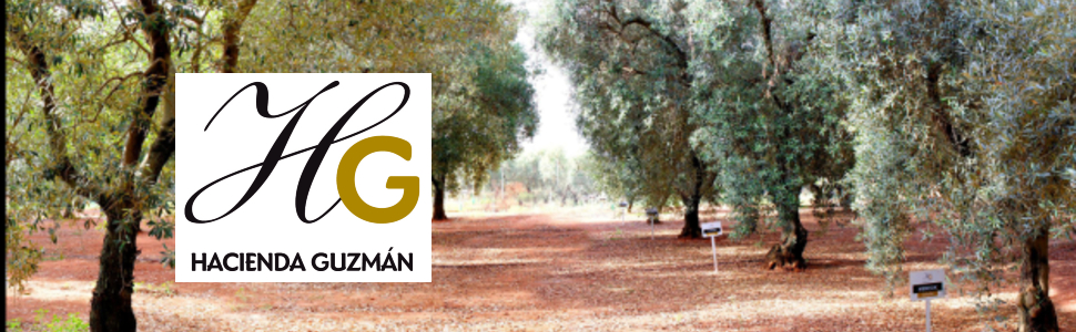 アシエンダグスマン オーガニック エクストラバージンオリーブオイル