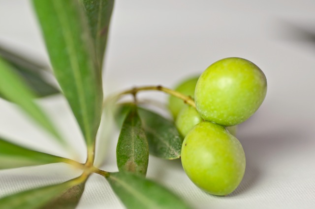 オリーブオイル