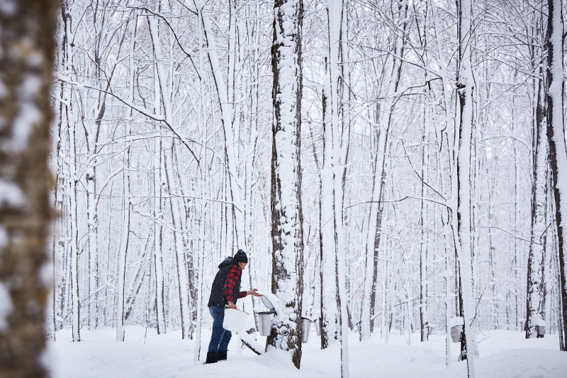 ケベック州の風景