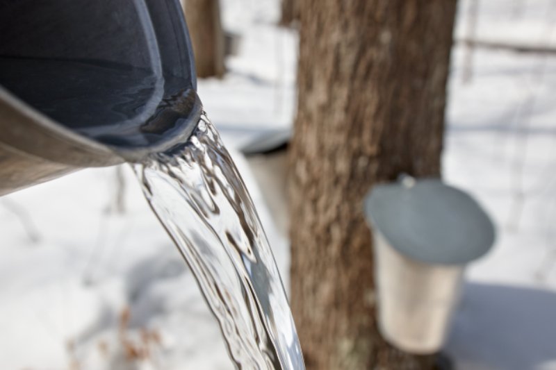 純粋なメープルシロップの瓶