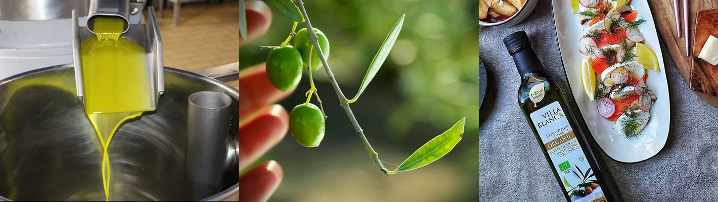 オリーブオイルの通販ならnakato