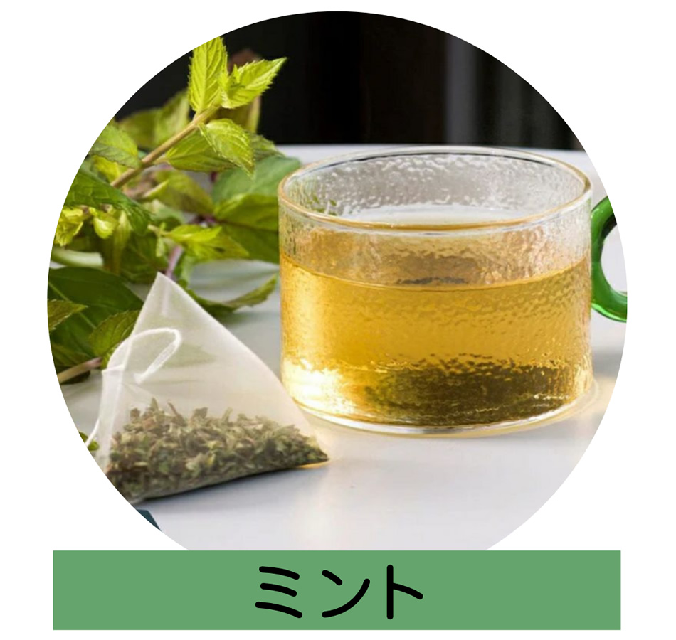 ミント
